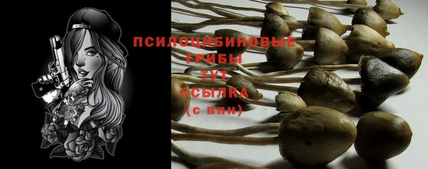 мяу мяу мука Сафоново