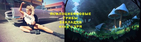 молекула духа Абинск